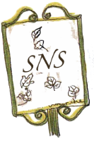 sns